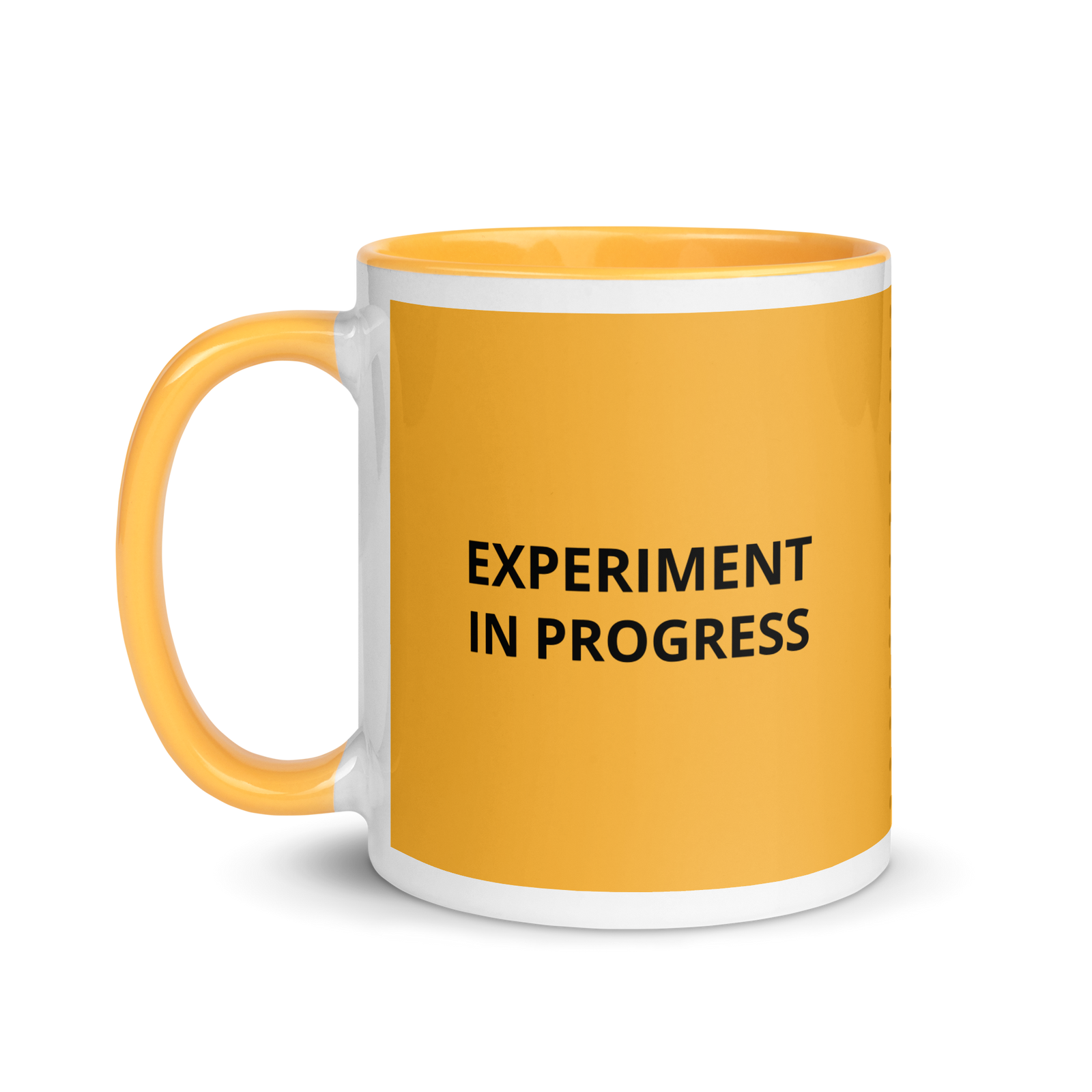 Experiment in Progress Mug